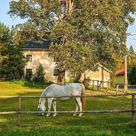 Villa Orni House Hazlov