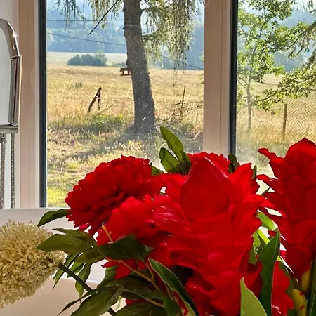 Villa Orni House